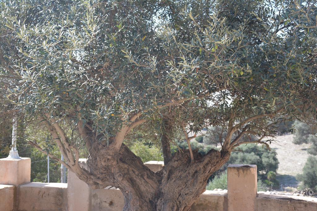 Finca Sa Duaia De Dalt Artá Exteriér fotografie